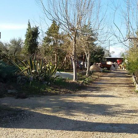 Gasthaus Fattoria Zitumasse Crecchio Exterior foto