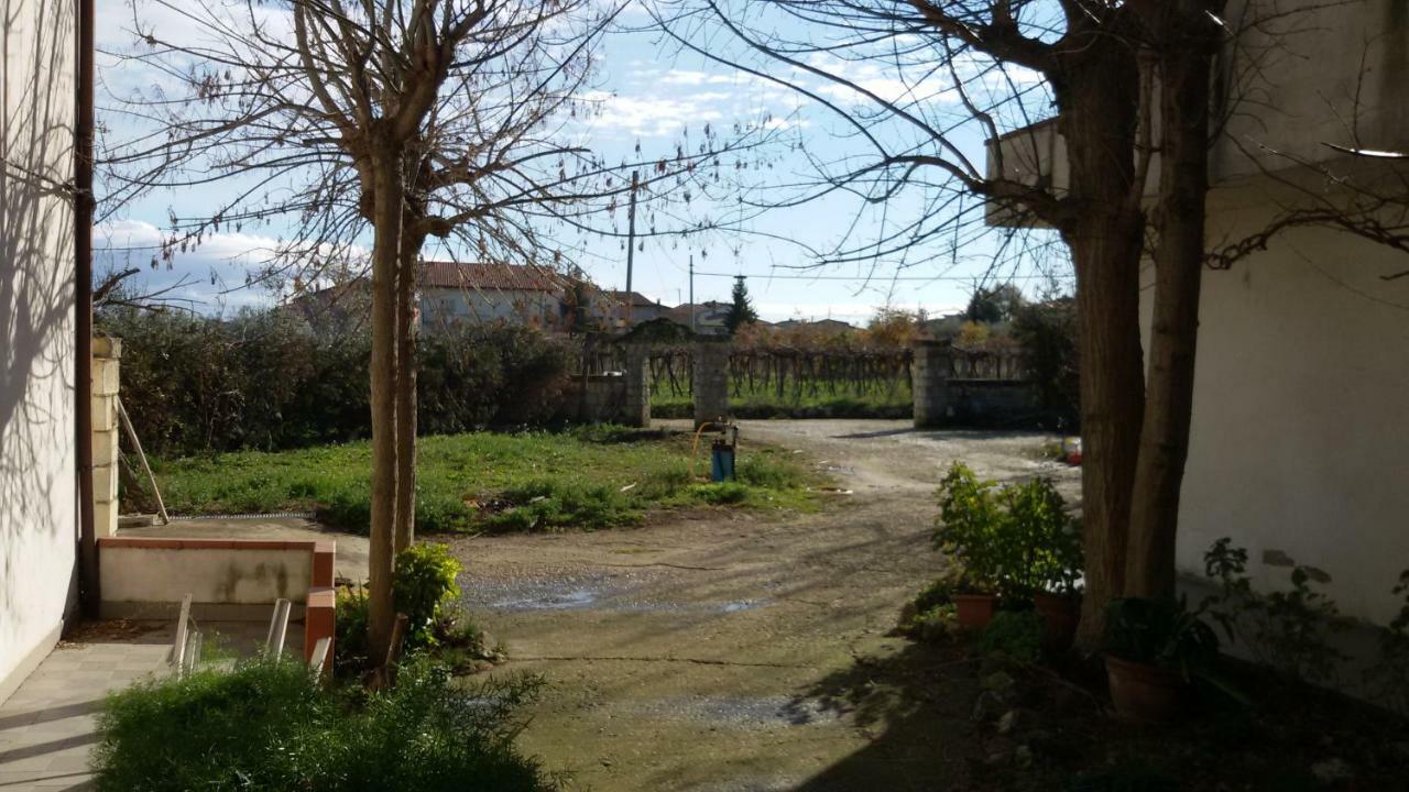 Gasthaus Fattoria Zitumasse Crecchio Exterior foto